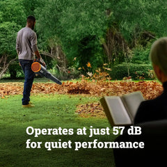 40V 780 CFM 190 MPH brushless QuietTech leaf blower