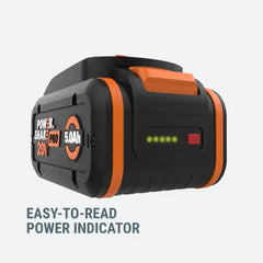 20V PowerShare PRO 5.0 Ah Battery (2pk)