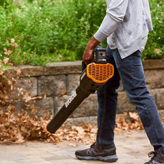 20V Power Share TURBINE 4.0 Ah High-Capacity Cordless Two Speed Leaf Blower