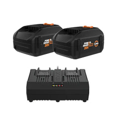 Two 5.0Ah Batteries and Dual Port Quick Charger Kit